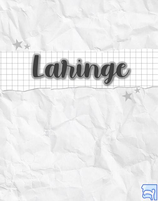 Laringe