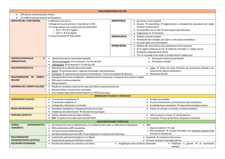 Diagnostico Prenatal 