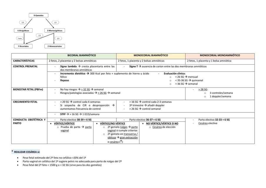 Embarazo y Parto Gemelar