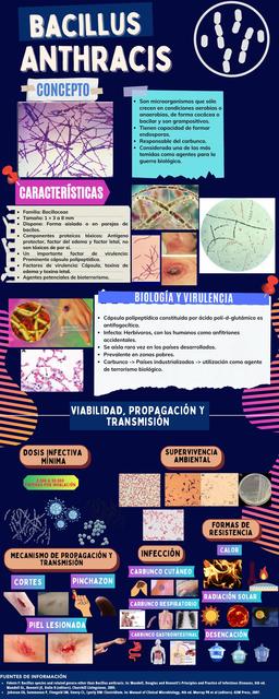 Bacillus Anthracis 