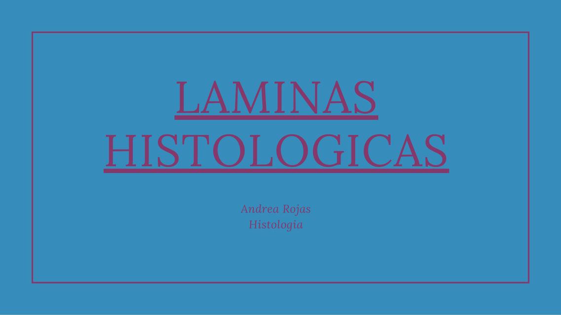 Laminas Histológicas