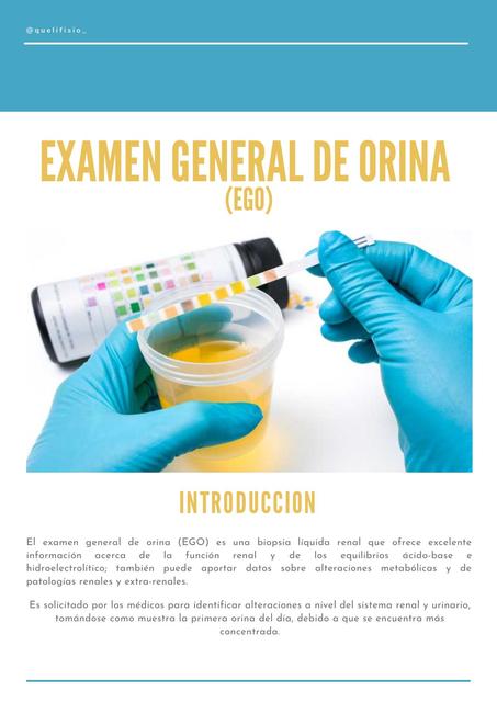 Examen general de orina (EGO)