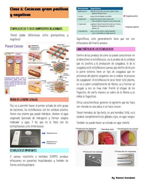 Clase 6 Microbiología