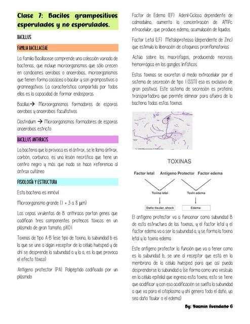 Clase 7 Microbiología