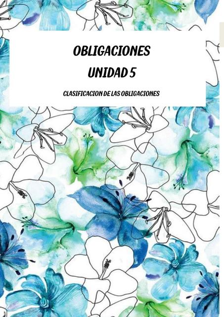 Clasificaciones de las obligaciones