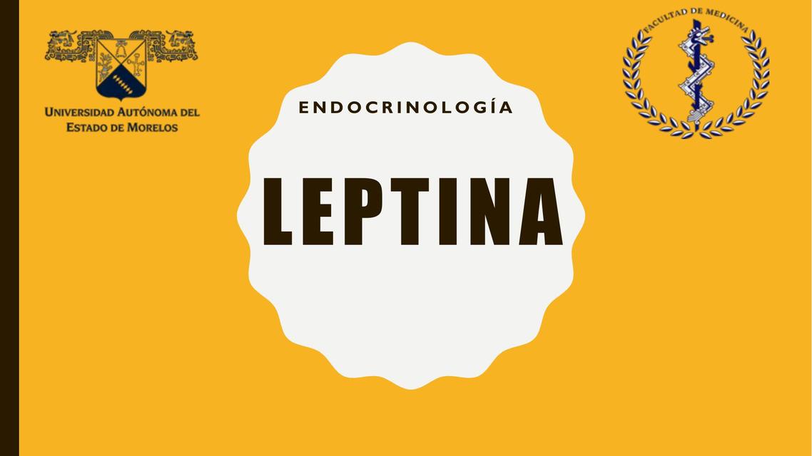 Leptina 