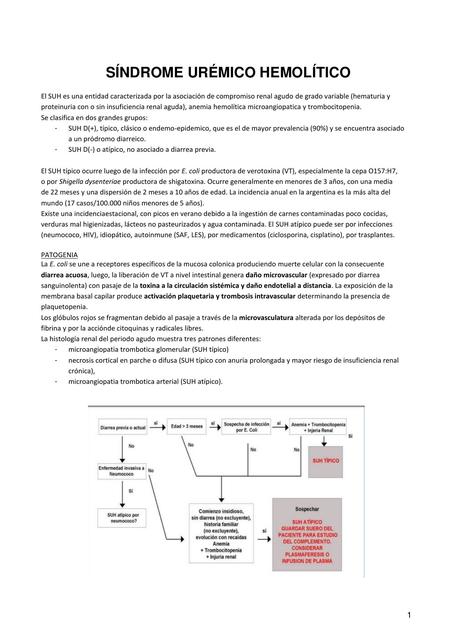 Síndrome Urémico Hemolítico  