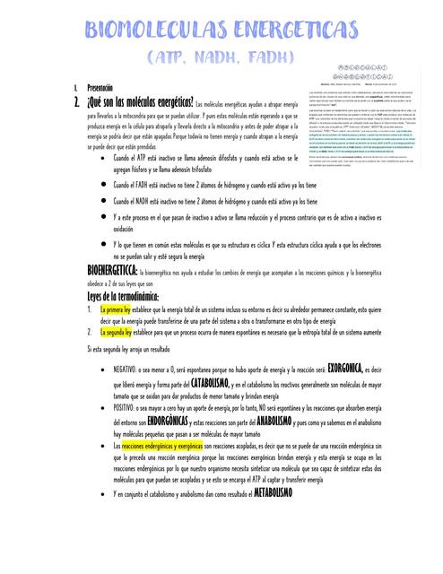 Biomoléculas Energéticas