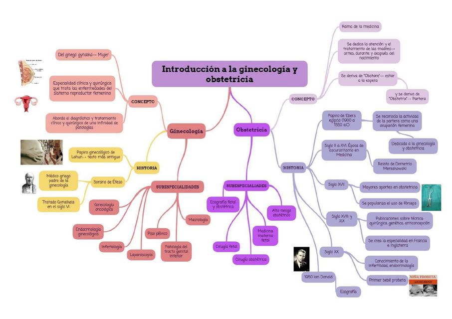 Introducción a la ginecología y obstetricia