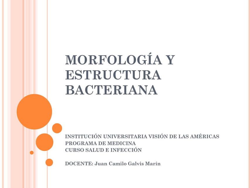 Morfología y Estructura Bacteriana 