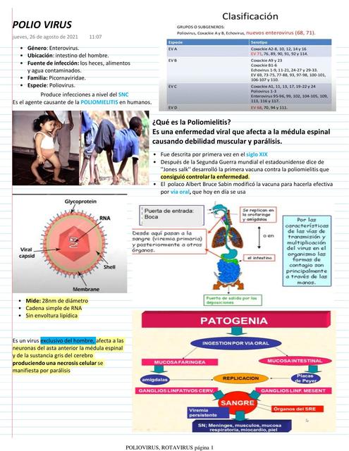 Poliovirus y Rotavirus 