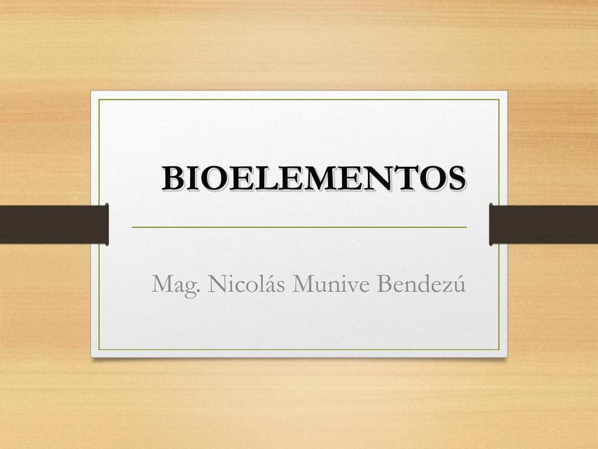 Bioelementos