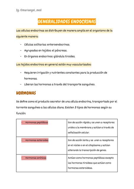 Sistema Endocrino