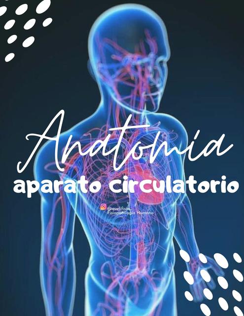 Anatomía del aparato circulatorio