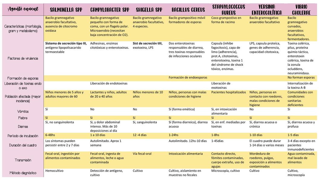 Cuadro de Enterobacterias