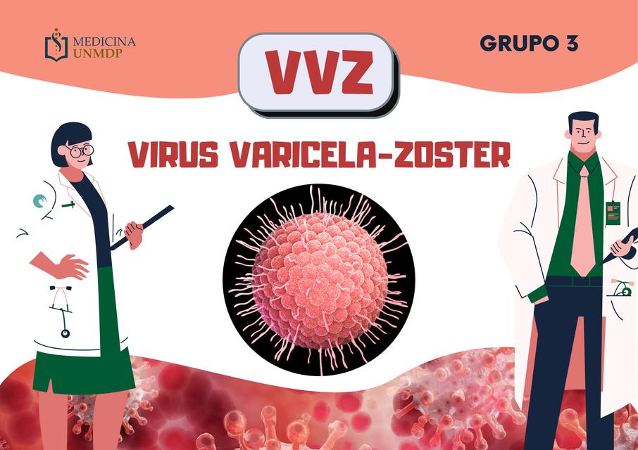 Virus Varicela- Zoster