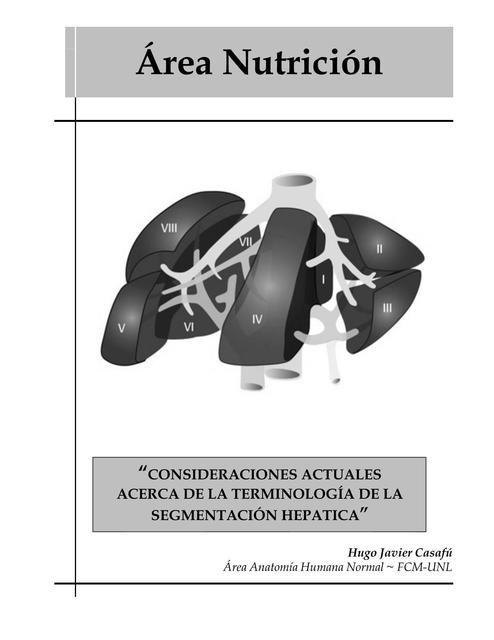 Segmentación Hepática