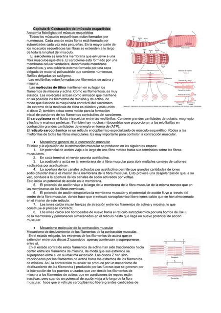 Fisiología 