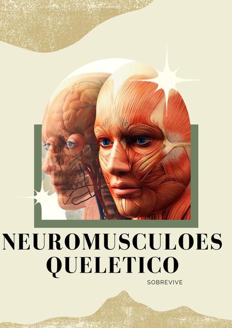 Neuromusculoesquelético