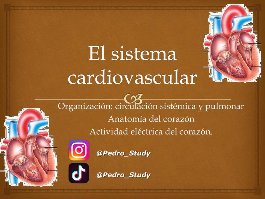 El Sistema Cardiovascular 