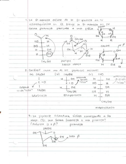 Guía carbohidratos Química Orgánica