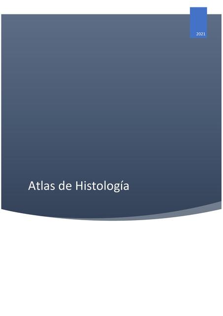 Atlas de Histología 