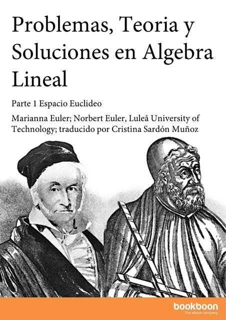 Problemas, Teoría Y Soluciones En Algebra Lineal