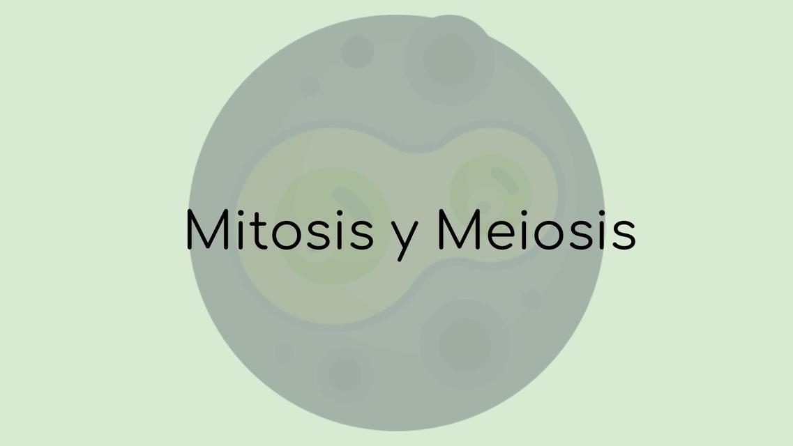 Mitosis y Meiosis