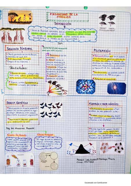 mecanismos de evolución