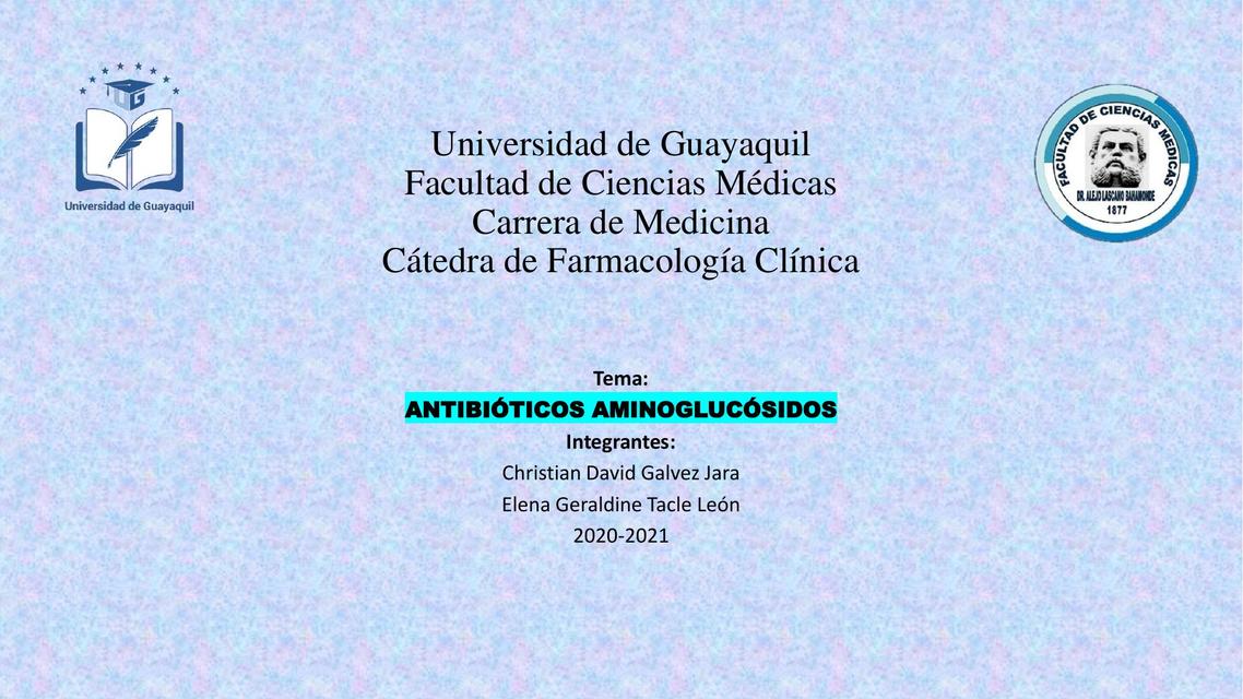 Antibióticos Aminoglucósidos Geraldine Tacle uDocz