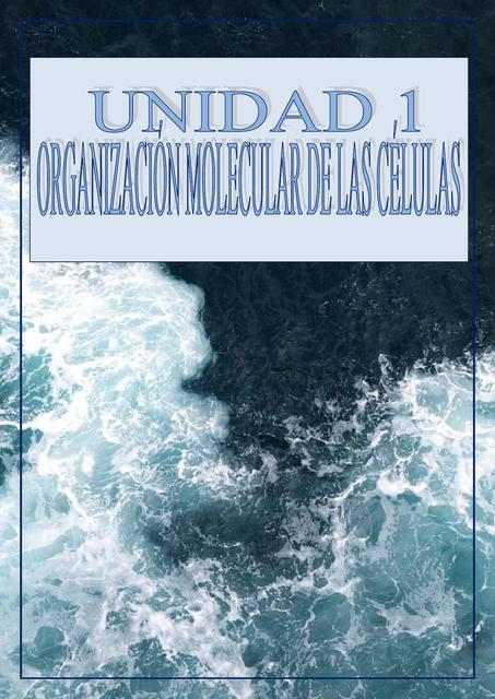 Unidad 1 (Sesión 4) - Organización molecular de las células