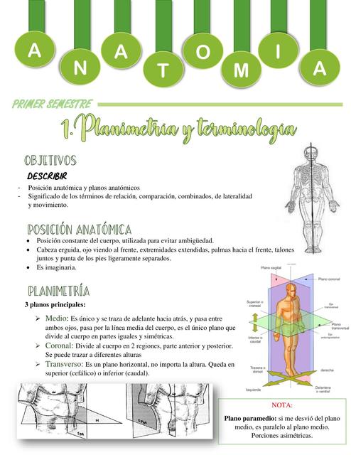 Planimetría y Terminología Anatómica 