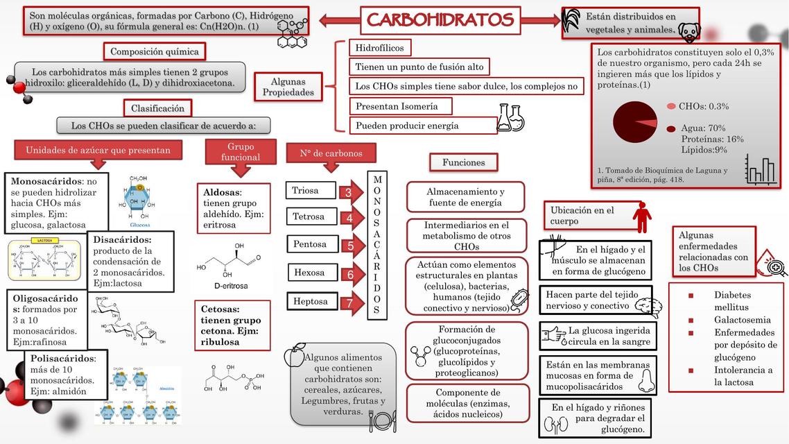 Carbohidratos y Lípidos 