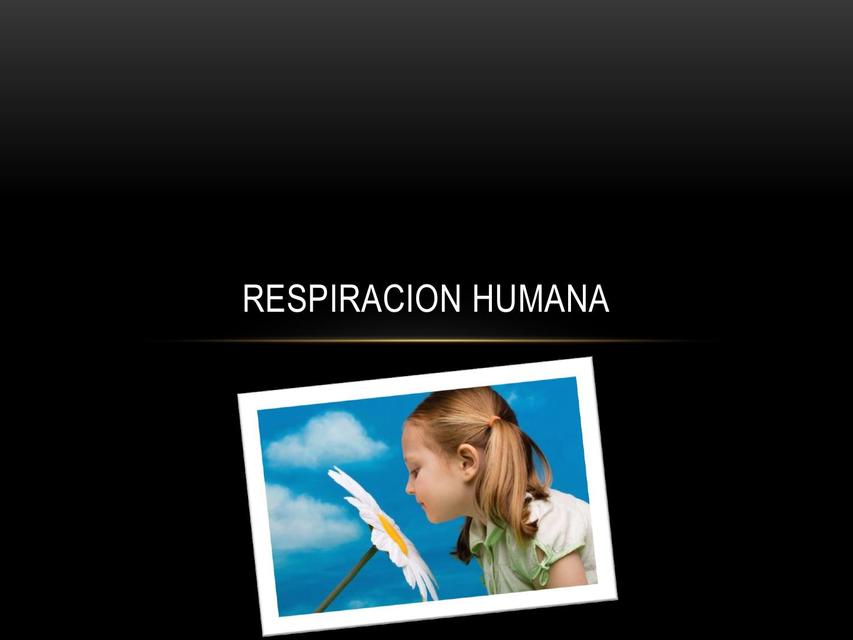 Respiración 