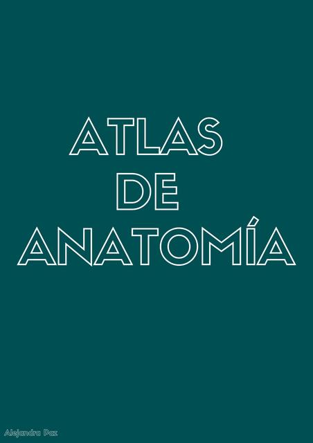 Atlas de Anatomía