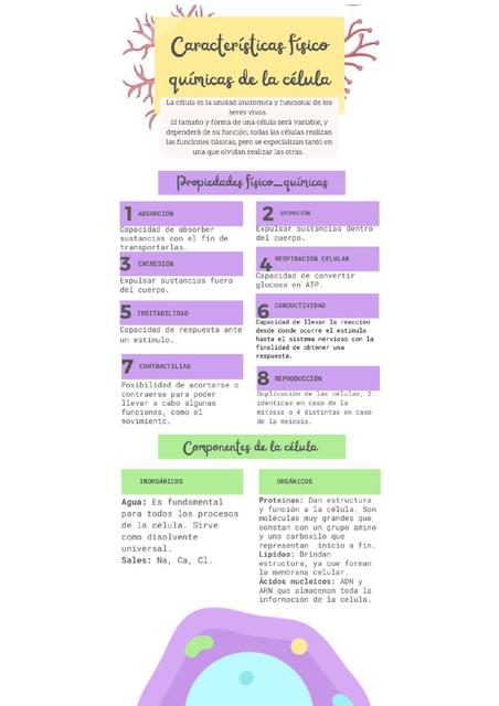 Características Fisicoquímicas de la Célula