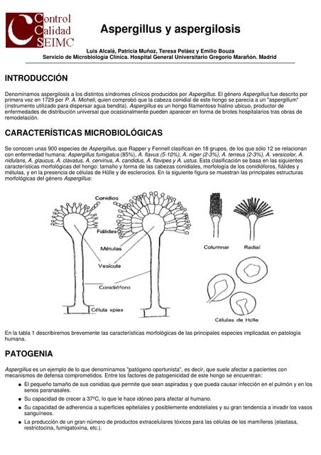 Aspergillus y Aspergilosis 