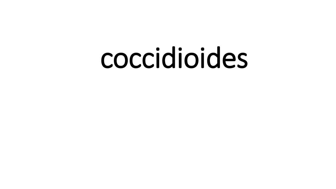 Coccidioides