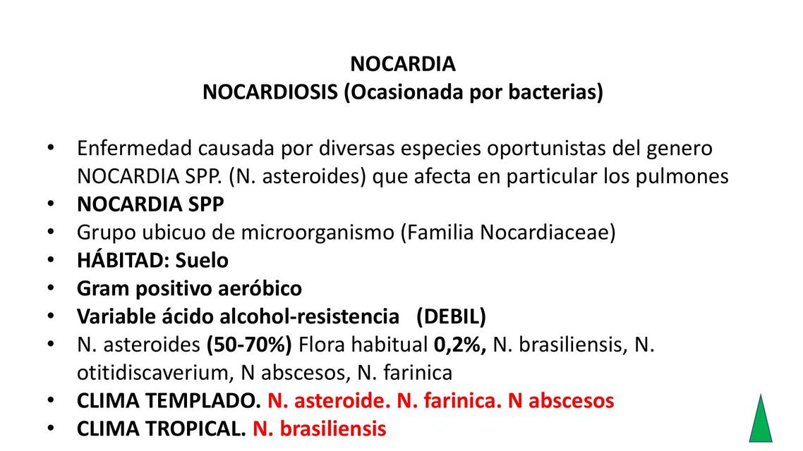 Nocardia y Actina 