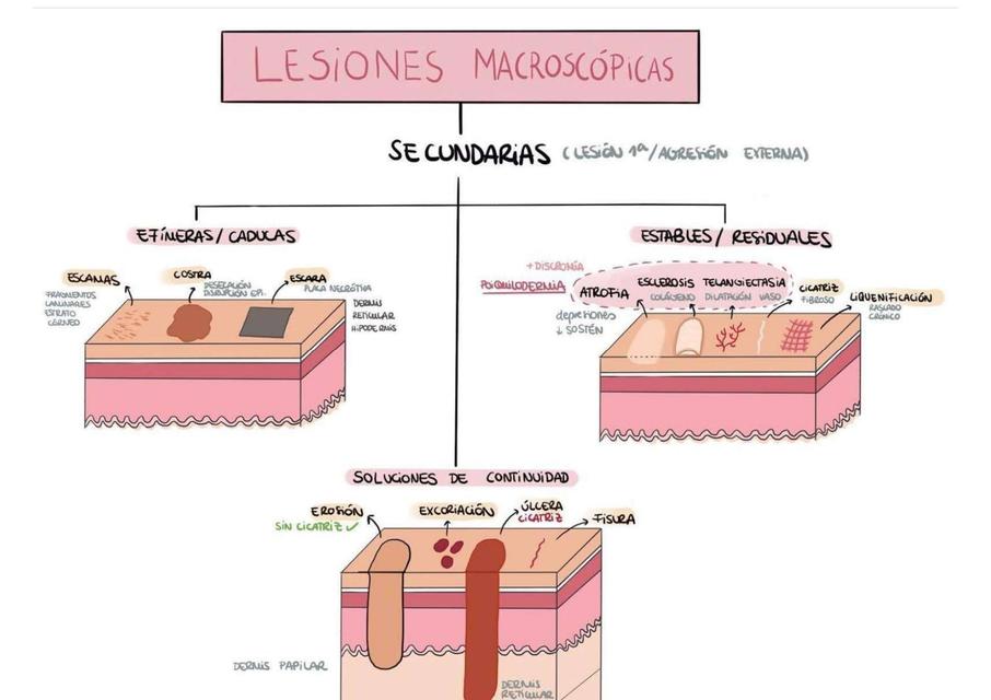 Lesiones Elementales Secundarias