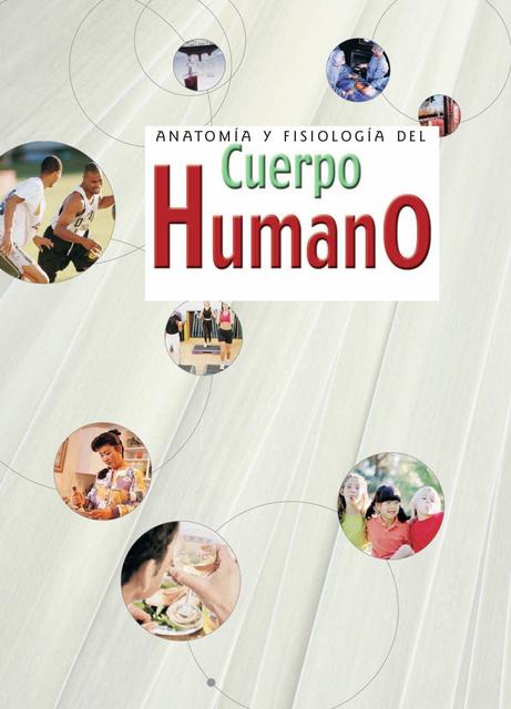 Anatomía Humana del Cuerpo Humano 