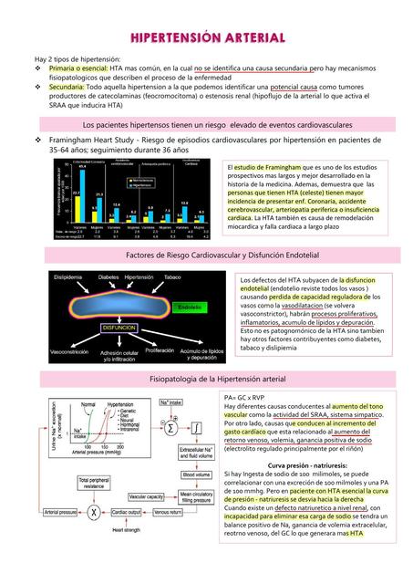 Hipertensión arterial 