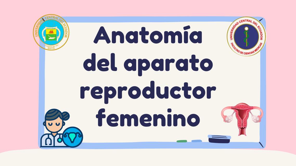 Anatomía del Aparato Reproductor Femenino