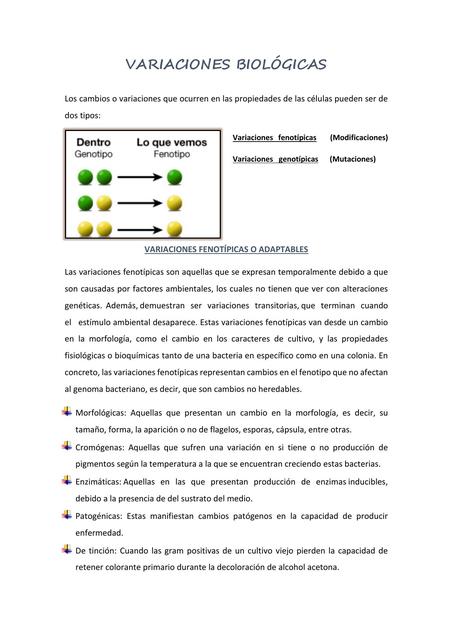 Variaciones Biológicas