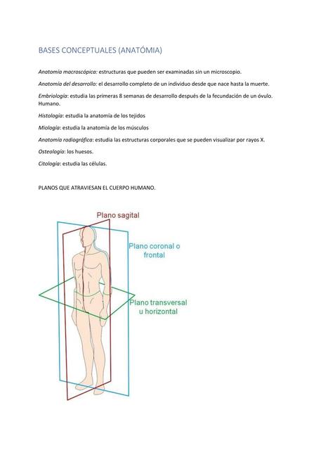 Bases Conceptuales Anatomía 