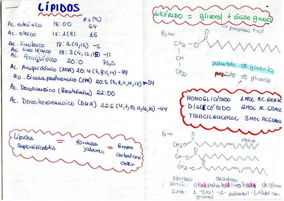 Resumen de Bioquímica