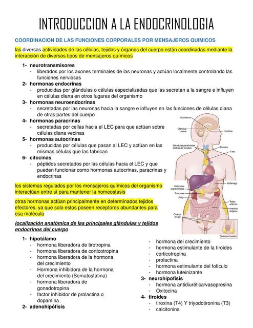 Endocrinología 