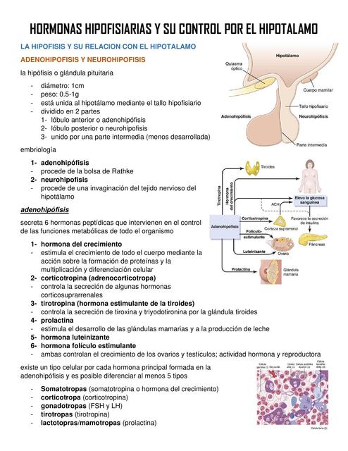 Hormonas Hipofisiarias