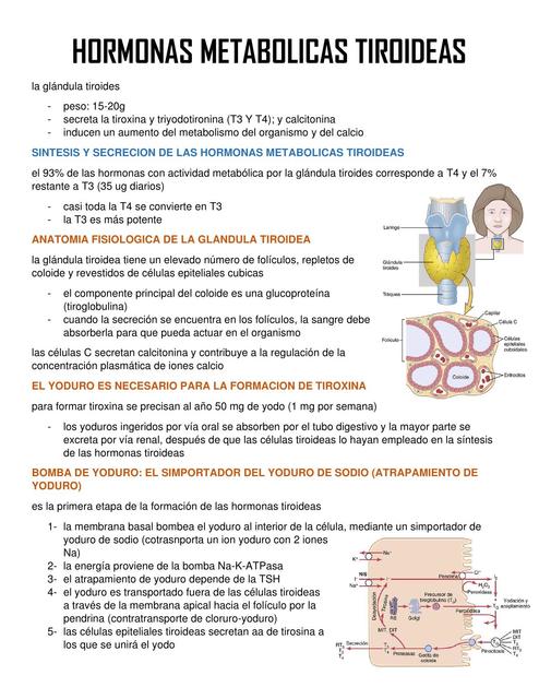 Hormonas Tiroideas