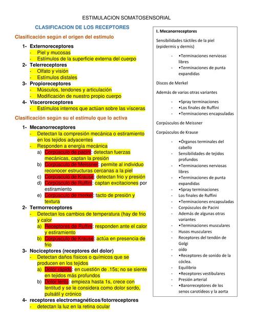 Estimulación Somatosensorial